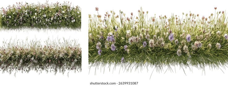 Aerial view of flowers, blossoming grassland, cut out backgrounds, vector PNG, floral landscape, nature, green grass, vibrant flowers, spring garden, meadow, isolated flowers