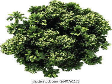 Aerial view of isolated tropics greenery trees cut out, tropical forest canopy, nature background, eco tourism, exotic landscape, aerial tropical trees, lush green scenery, island view