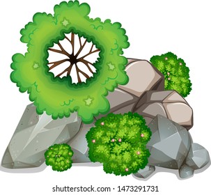 Aerial view of plants and rocks, isolated illustration