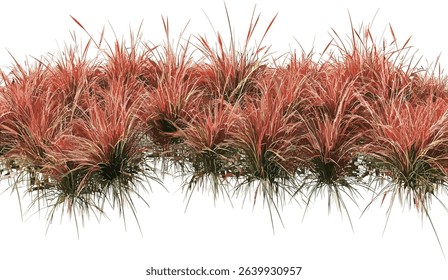 Aerial view red flora grass fields, cutout transparent backgrounds, vector illustrations, grass fields png, red flora, nature illustrations, transparent flora, grass background