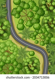 Aerial view with road through the forest landscape illustration