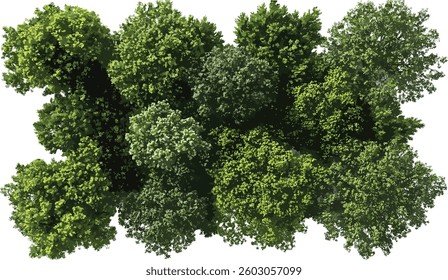 Aerial view vector 3D render of greenery forest canopy transparent png, lush landscape, natural environment, outdoor scene, forest top view, eco-friendly nature, foliage texture