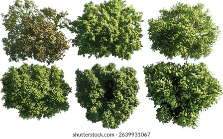 Aerial view vector, biodiversity, trees, nature, transparency, environment, landscape, greenery, habitat, jungle, conservation, png, foliage, sustainability, ecosystem, flora, park