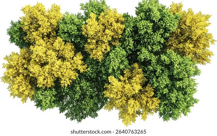 Aerial view vector tropical trees, isolated seasonal, green and yellow tropics, nature landscape, tropical forest, summer foliage, exotic greenery, tropical island, lush trees