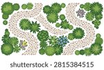Aerial view of winding garden path with various green plants and small flower clusters natural park landscape illustration.