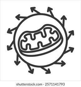 Aerobic Respiration Icon Vector Illustration Outline