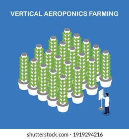 Aeroponic farm.Vertical aeroponic system for growing plants without soil. Vegetables and grasses growing in the water flow system. Isometric infographics.