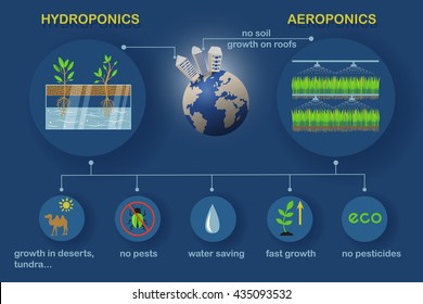 Aeroponic and hydroponic growing systems with Earth planet. Colored vector infographics