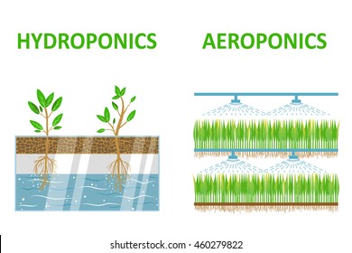 Aeroponic and hydroponic systems. Colored flat vector illustration