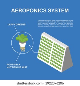 Aeroponic installation in the form of a pyramid. Vertical aeroponic system for growing plants without soil. Vegetables and grasses growing in the water flow system. Isometric infographics.