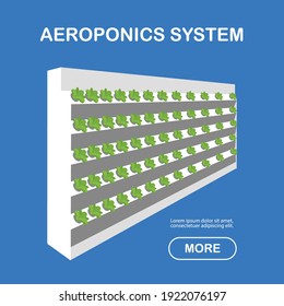 Aeroponic wall.Vertical aeroponic system for growing plants without soil. Vegetables and grasses growing in the water flow system. Flat perspective infographics.