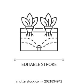 Aeroponics linear icon. Grow plants with air, water and nutrients. Soilless roots. Thin line customizable illustration. Contour symbol. Vector isolated outline drawing. Editable stroke