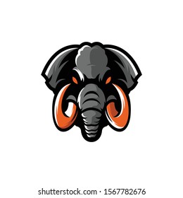 aesome elephent logo design vector