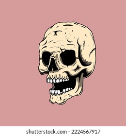 Aesthetic and attractive illustration of human skull