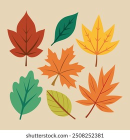 aesthetic autumn leaf simple colorful set illustration element