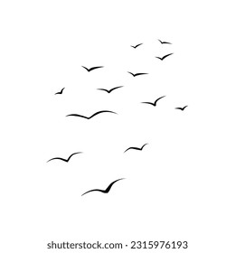 Aesthetic Bird Vector and Isolated