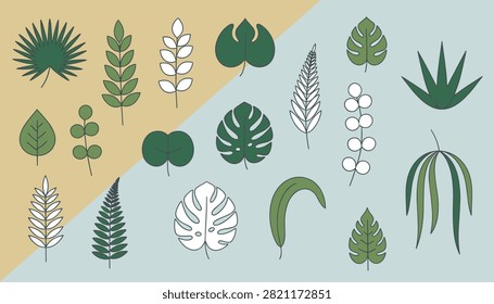 Aesthetic botanical illustration featuring a collection of green and white leaves on a dual color background.