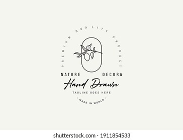 Aesthetic Botanical Lemon Tree Logo Design. Vintage Modern Icon Line Art Design Template