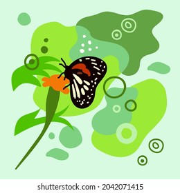 fondo abstracto de mariposa estética, adecuado para la decoración de paredes, tapicería, adorno de fondo