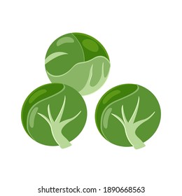 Aesthetic and cool brussels sprouts vector illustration. aesthetic fruit illustration