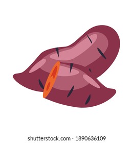 Aesthetic and cool sweet potato vector illustration. aesthetic fruit illustration