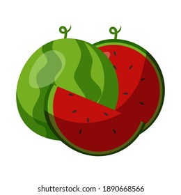 Aesthetic and cool watermelon vector illustration. aesthetic fruit illustration