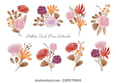 Aesthetic Dried Flower Arrangement Watercolor Collection