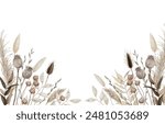 Aesthetic Dried Flower Background Border with Pampas, bunny tails and poppy pods isolated on white background