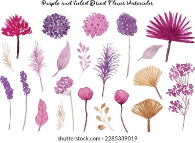 Aesthetic Elegant Dried Flower Watercolor Collection