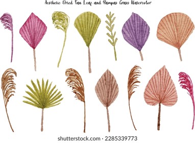 Aesthetic Elegant Dried Leaf and Pampas Grass Watercolor Collection