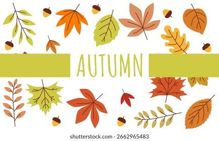 Fondo estético de otoño con Anuncio Horizontal verde con hojas de otoño coloridas y bellotas.