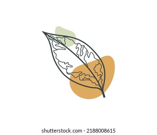 Leaf elástica de ficus estético. Diseño de vectores vegetales