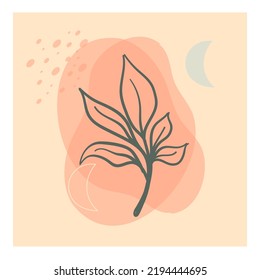 Aesthetic floral card design. Minimalist abstract art background with leaves branch and Hand Drawn doodle. Design for wall decoration, postcard, poster or social media.