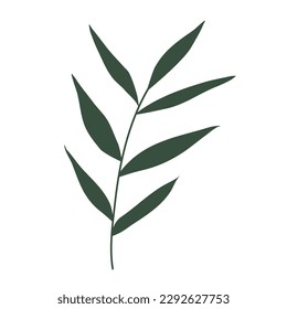 Aesthetic floral plant elements illustration template	