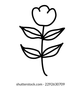 Aesthetic floral plant elements illustration template