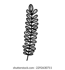 Aesthetic floral plant elements illustration template