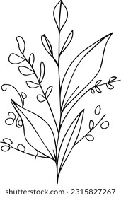 aesthetic flower doodles, botanical drawings, botanical drawings of flowers, botanical drawings of wildflowers, aesthetic wildflower drawings, planet leaf clipart,  leaves vector illustration, 