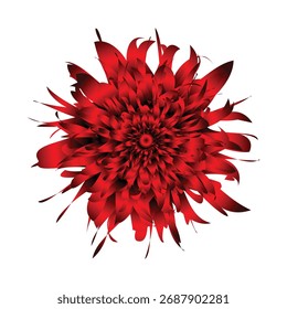 Flor estética en fondo blanco. Ilustración de forma gráfica de mezcla de Vector floral de color rojo. 