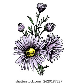 Aesthetic flowers daisies, chamomile isolated on white background