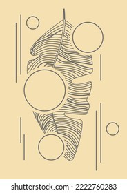 Ilustración geométrica estética con hoja lineal y círculos.