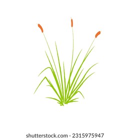 Aesthetic Grass Vector and Illustration