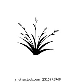 Aesthetic Grass Vector and Illustration