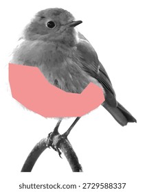 Estético medio tono redondo recorte de collage de pájaro con detalle de cinta rosa