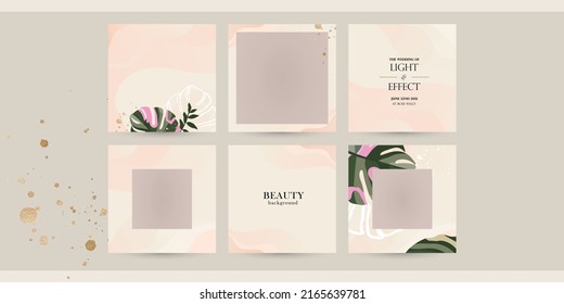 Aesthetic Instagram Social Media Post Background Template With Tropical Leaves Monstera. Vector Layout In Light Pink Beige Color For Beauty, Make-up, Cosmetic Business