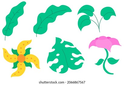 Aesthetic leaf and flower. Floral illustration. 