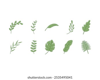 Conjunto de elementos de ilustración de hoja estética