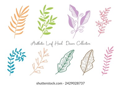 Aesthetic Leaf Line Drawing Collection