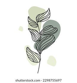 Aesthetic Leaf Plant With Abstract Shapes. Minimalist style. Nature
