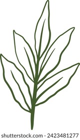 Aesthetic Leaves in Green Line Art Vector Illustration for Nature Background and Banner Element Decoration