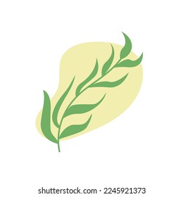 Aesthetic minimalism branch leaves with blob background